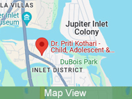 Map View